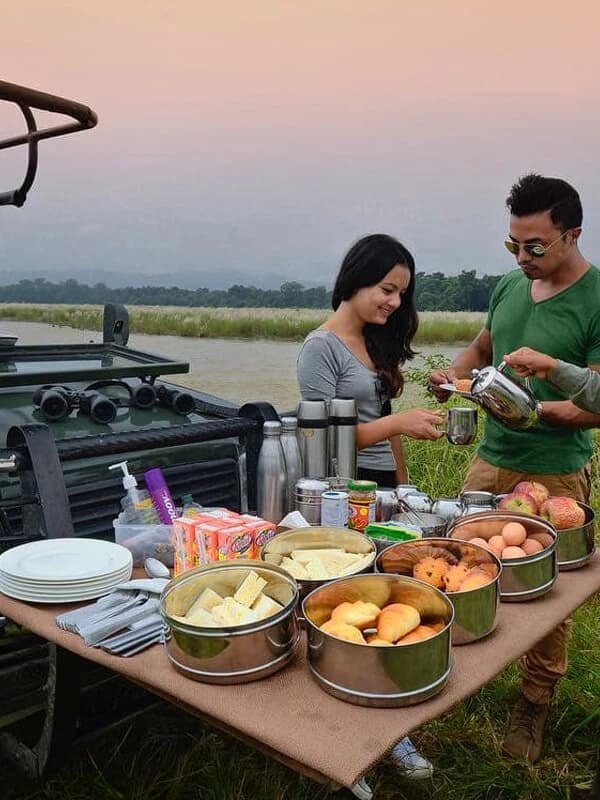 Wildlife Safari Tours